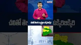Weather Report | Winter Cold Wave Tremble's in Telugu States | Andhra Prabha News