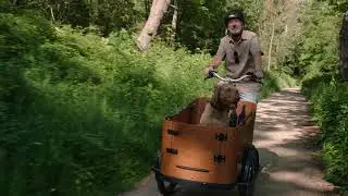 Das Hunde-Lastenrad von Babboe Lastenr&auml;der