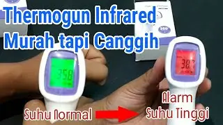 Cheap Infrared Thermometer Review