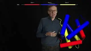 Lecture 07, concept 23: The globin fold - hemoglobin & myoglobin