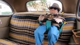 Zoot Suit 2024 #Ranflas#Bombas#Oldies#NoCrime