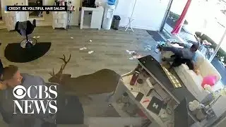 Deer smashes through hair salon window in New York