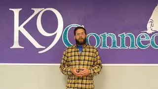 Counter Conditioning - Don't make the simple mistake