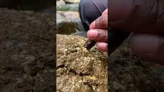 Found unripe EMERALD 😱😒 #emerald #gem #gemstones #gems  #preciousstones #rockhounders #rockhound