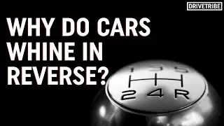 Why do cars whine in reverse? &ndash; Mike's Mechanics
