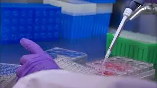 Close up filling vials   Free HD Video Clips & Stock Video Footage at