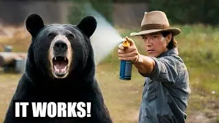 Bear Spray 101 Your Ultimate Guide to Staying Safe in Bear Country! bearspray destroyed in seconds!