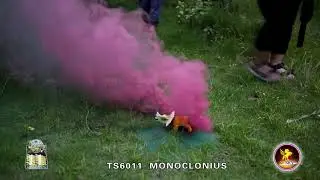 Monoclonius - Dinosaur Novelty