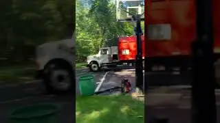 Tree Services Mendham NJ