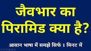 जैवभार का पिरामिड क्या है | Biomass Pyramid Kya Hai | Jaivbhar Pyramid ki Paribhasha