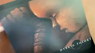 20th Anniversary Hybrid Theory Unboxing