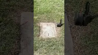 Edging Water Meter Boxes | 4x SPEED | Lawn Care
