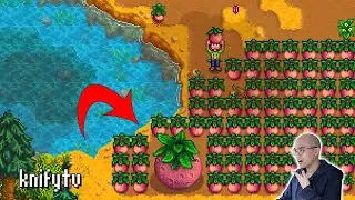 knify Clips Stardew Valley 1.6 Update Big Melon