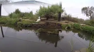 Living Coast Discovery Center SCEDC 2
