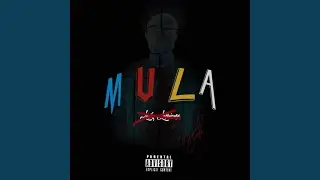 The Plug (feat. King Kyree)