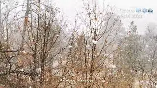 First Snowfall of the season ❄️ Quetta 18.01.2023 #snowfall2023 #balochistan #quetta #quettaweather