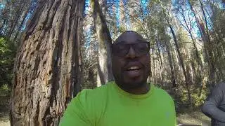 The Lewis Creek Trail