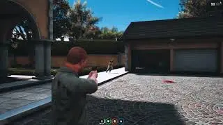 E Communityy | FiveM SoftAim