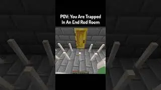POV: You Are Trapped In An End Rod Room