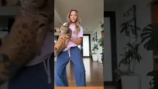 #Тинаше и ее уютный #кот #тренд #вирусный #музыка