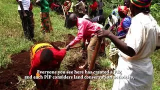 PIP Approach in Burundi - PAPAB Wageningen Environmental Research