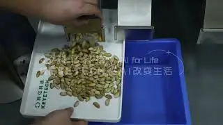 AI vertical sorter&mdash; Pistachios remove in Shell, Foreign Material