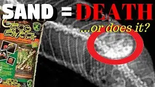 THE GREAT DEBATE - Are Loose Substrates Really Bad?