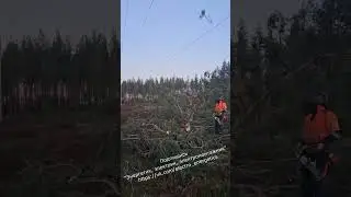 Суровый линейщик под ЛЭП🤣