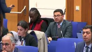 UPEACE Statement to the 12 COP UNTOC International Cooperation