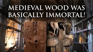 &ldquo;Medieval Timber Was Basically Immortal&mdash;Here&rsquo;s the Secret&rdquo;