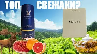 Aqua de Dora и Wul&oacute;ng Ch&aacute;. Пополнение коллекции, первый затест. Свежаки и чайная тема.