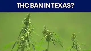 Texas lawmakers discuss THC regulation in Special Session | FOX 7 Austin