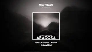 Triibze & Beschner - Aradosa (Original Mix)