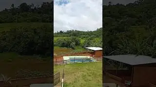 #shortvideo #piruliro #baby #rocaafazenda #restaurant #pesqueiro