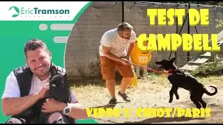 TEST DE CAMPBELL POUR LE CHIOT C'EST QUOI ?