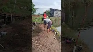 sibuk narikin bandeng ya! Korang cepet penuh
