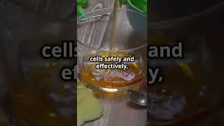 Sumatra Slim Belly Tonic 2024