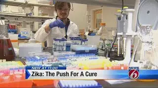 Push made for Zika virus cure