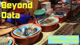 New York's Toadfish Fishery
