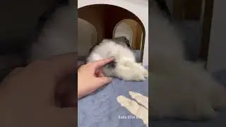 Заячья попка 🐰🍑
