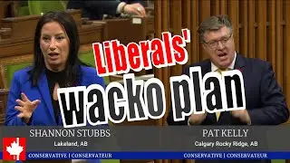 Liberals' latest wacko plan helps despotic regimes that are hostile to Canada and to Canadians