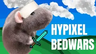 My stature gave me a concussion (Hypixel Bedwars)