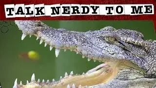 9 Animal Facts and Myths Debunked by Wildlife Experts | TNTM