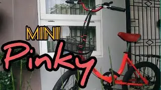 Review sepeda Minion Pink