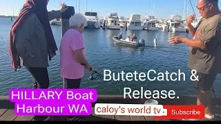 Boat Harbour-FISHING CATCH AND RELEASE (BUTETE)* HILLARY  WESTERN AUSTRALIA 
