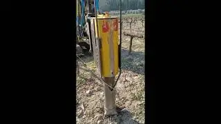 Complantation au Domaine du Bois de St Jean