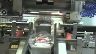 PACK BAO 25 / 35 / 45 - Automated Tape Bundling Machine | Karlville
