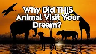 🌟Decoding Dreams: What Animals in Your Dreams Truly Mean🌟