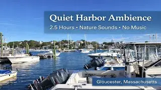 Quiet Harbor Ambience | Gloucester, MA | 2.5 Hours of Natural Sounds (No Music, No AI)