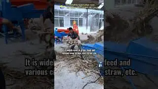Motor drive 2.5t/h output animal feed chaff hammer mill